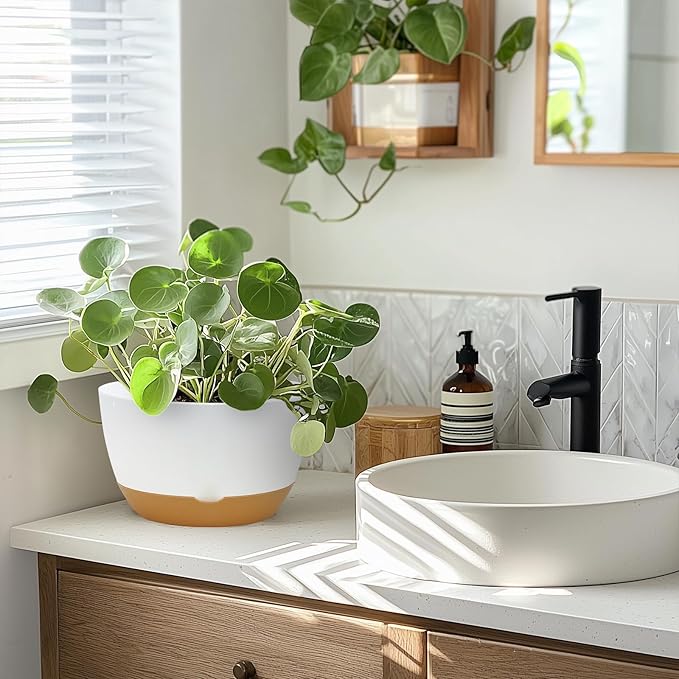 8 Inch Pots for Indoor Plants, Self Watering Planters with Drainage and Saucers, Plastic Outdoor Flower Pot, Set of 2, White