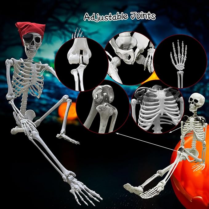 5.4ft/165cm Halloween Skeleton - Life Size Skeleton Full Body Realistic Human Bones with Posable Joints for Halloween Pose Skeleton Prop Decoration (5.4Ft&3Ft)