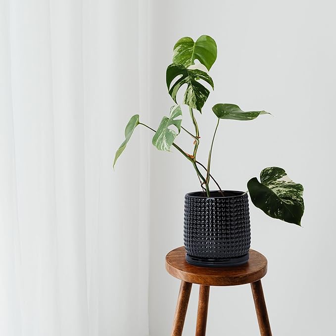 D'vine Dev Set of 2 Ceramic Plants Pots, 6 Inch Beaded Stoneware Flower Pot for Plants with Drainage Hole and Saucer, Glossy Black, 27-E-X-2