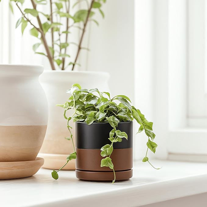D'vine Dev Set of 2 Plants Pots, 3.5 Inch Ceramic Planter Pot for Plants with Drainage Hole and Saucer, Black/Speckled Tan, 94-V-A-7