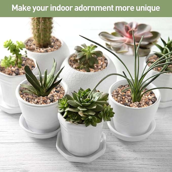 GASPRO Drainage Pebbles for Indoor Plants, 1/5 Inch Small Rocks for Potted Plants, Decorative Pebbles for Succulent, Cactus, Crafts, Bamboo, Pea Gravel for Landscaping, Aquarium, Fish Tank, 5lbs