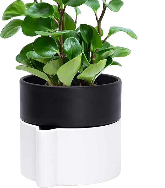 Phoenix Vine 6.5 Inch Self-Watering Planter Pot with Terracotta Insert, Deep Water Reservoir, and Ceramic-Alike BPA-Free Plastic Pot for Plant, Modern Planter for Houseplants, White/Black, 53-B-S-4