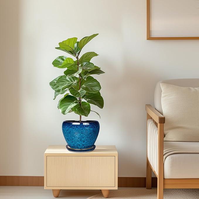 Ceramic Modern Glaze Succulent Planter Pot with Drainage Hole and Saucer 6 Inch Round Flower Plant Pot for Indoor Outdoor Herb Snake Plants