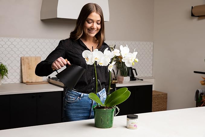 rePotme 4 inch Orchid Pot 3 Pack - Slotted Orchid Pots with Holes for Repotting (Crystal Clear)