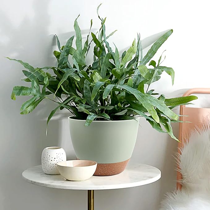 Plant Pots 12/10/9 inch Set of 3, Self Watering Flower Pots Indoor Outdoor, Planters with Drainage Hole Saucer Reservoir, Green