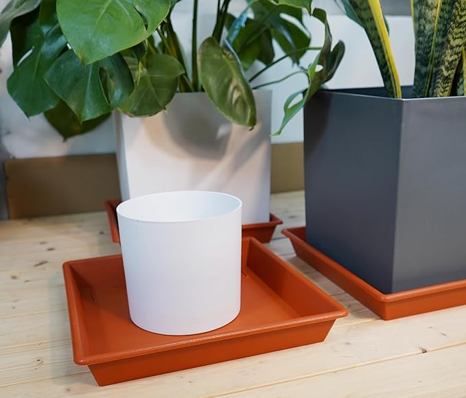 Square Plant Saucer 10 Inch 5 Pack, Plant Stand Flower Pot No Holes, Plant Trays for Pots Heavy Duty Plastic Plant Saucers for Indoors Outdoors Terracotta Plant Lover Gardening Gifts