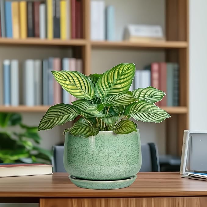 G EPGardening Ceramic Plant Pot - 7 Inch Ceramic Planter for Indoor Outdoor Plants, Flower Pot with Drainage Hole and Tray, Modern Round Planter, Plants Lovers Gifts, Home Garden Decor, Green