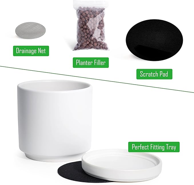 D'vine Dev 6 Inch Ceramic Planter Pot with Drainage Hole and Saucer, Indoor Cylinder Round Flower Pot, White, 94-O-C-1