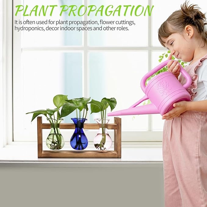 Plant Propagation Station Plant Terrarium Unique Birthday Gifts for Women Plant Lovers Home Office Decor Planter with Wooden Stand - 3 Bulb Glass Vase