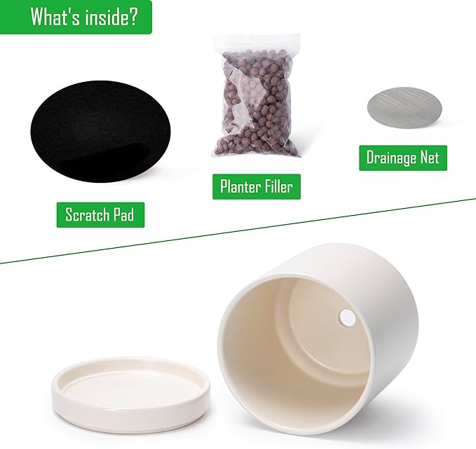 D'vine Dev 6 Inch Ceramic Planter Pot with Drainage Hole and Saucer, Indoor Cylinder Round Planter Pot, Oatmeal, 94-O-C-8