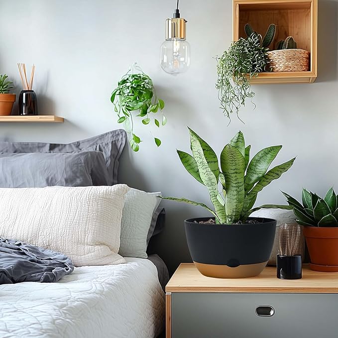 8 Inch Pots for Indoor Plants, Self Watering Planters with Drainage and Saucers, Plastic Outdoor Flower Pot, Set of 2, Grey