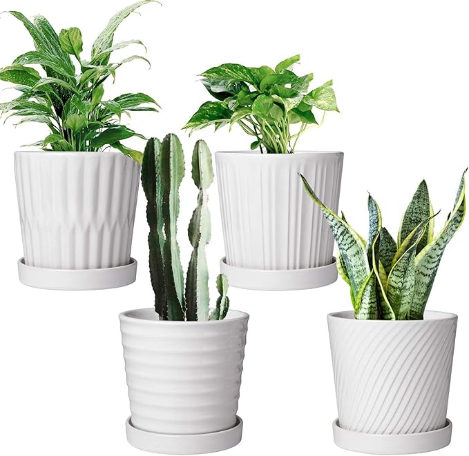Brajttt Flower Pots,6 Inch Succulent Pots with Drinage,Indoor Round Planter Pots with Saucer,White Cactus Planters with Hole,Outdoor Graden Pots 4 Pack