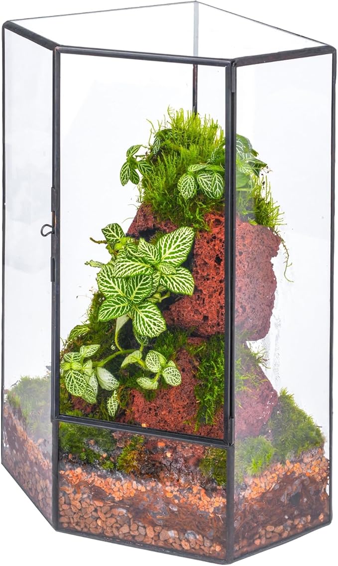 NCYP Wall Corner Geometric Glass Terrarium, Closed Front Opening Door Container Planter for Succulents, Small Plants - Black, Indoor Decor, Tabletop Landscape, 6.1" x 6.1" x 11.8" (Terrarium Only)