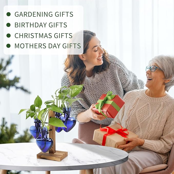Plants Propagation Stations Plant Terrarium Kit Glass Planters for Indoor Plants House Plant Accessories Gift for Women - 4 Love Vase