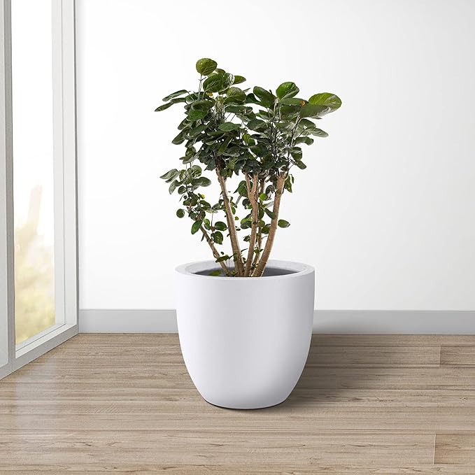 Kante 14 Inch Dia Round Concrete Planter, Indoor Outdoor Large Plant Pot with Drainage Hole and Rubber Plug for Home Patio Garden, Pure White