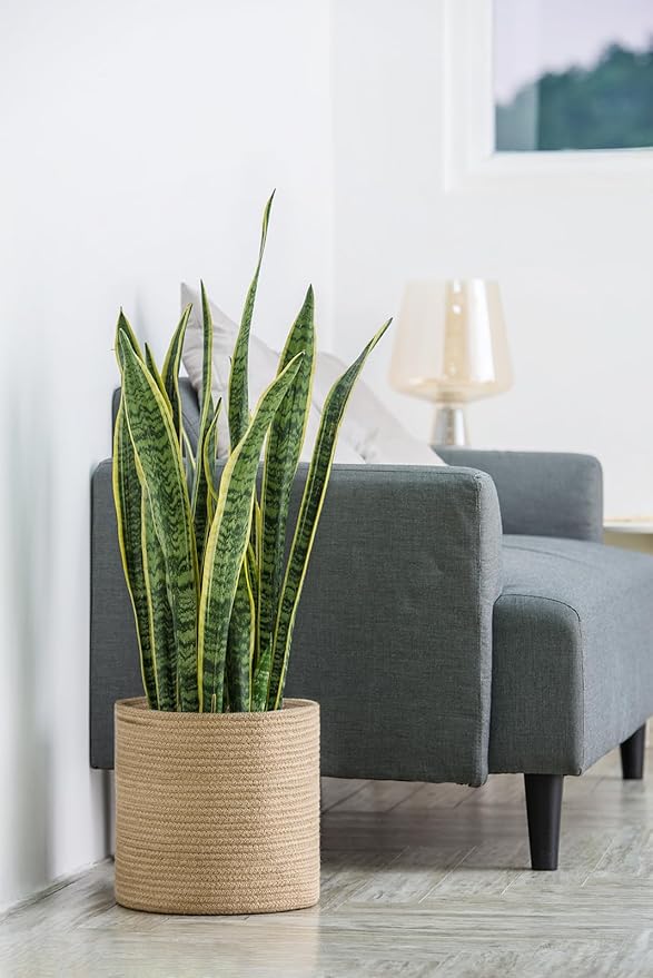 Dahey Jute Rope Plant Basket Modern Woven Storage Basket for 10" Indoor Planter, Decorative Flower Pots Cover Laundry Bin with Handle Rustic Home Decor, Beige