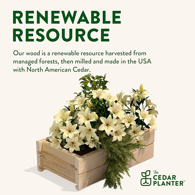 Greenes Fence Cedar Wood Planter Box with Rail Mount Brackets, 21" x 11" x 7" (2-Pack) - Made in USA with North American Cedar