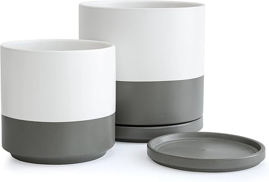 D'vine Dev 8 Inch & 10 Inch Ceramic Planter Pot for Plants with Drainage Hole and Saucer, Large Plant Pots Set, White/Speckled Grey, 94-G-L-6