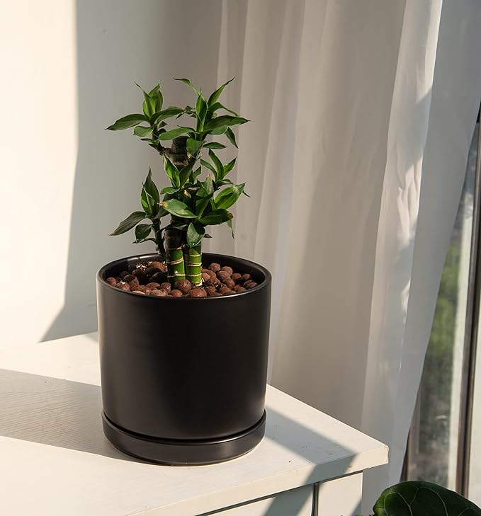 D'vine Dev 6 Inch Ceramic Planter Pot with Drainage Hole and Saucer, Indoor Cylinder Round Flower Pot, Black, 94-O-C-2