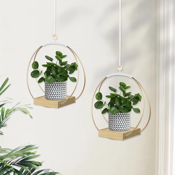 Hanging Planters for Indoor Plants, Plant Hanger with Sturdy Wood Base,Modern Boho Macrame Plant Hanger,Wall Ceiling Window Stands(Plants/Pots Not Included)