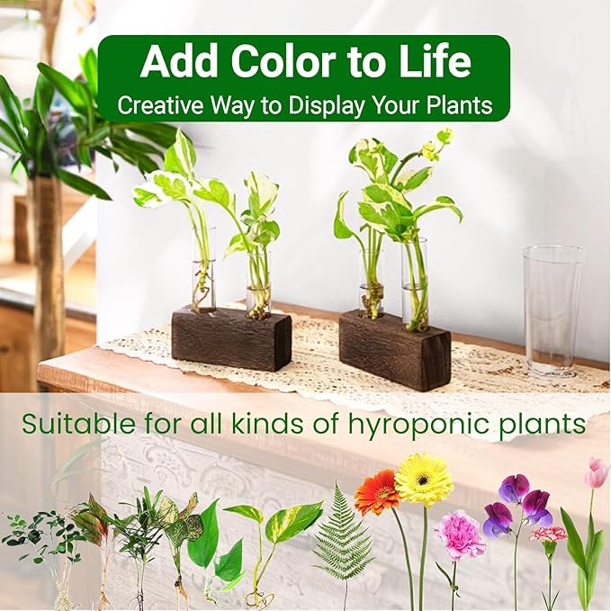 Ivolador Plant Propagation Stations 4 Test Tube Plants Terrariums in Wooden Stand Gifts for Plant Lovers for Hydroponic Plants Office Home Decor Hydroponic Vase Gift Box 2 Sets