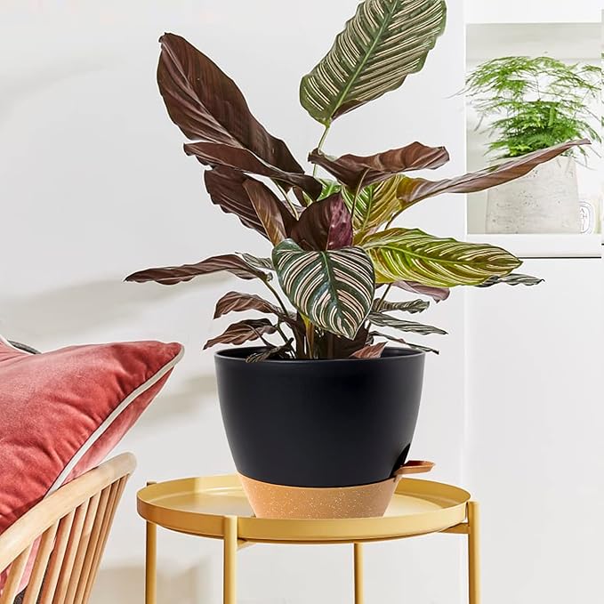 WOUSIWER 10 inch Self Watering Planters, 2 Pack Large Plastic Plant Pots with Deep Reservior and High Drainage Holes for Indoor Outdoor Plants and Flowers, Black with Terracotta