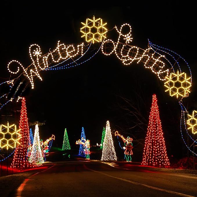 DBFAIRY 24-inch LED Christmas Snowflake Window Lights, Large Outdoor Hanging Silhouette Xmas Decor Light with Timer 16.8ft Plug-Powered Cable