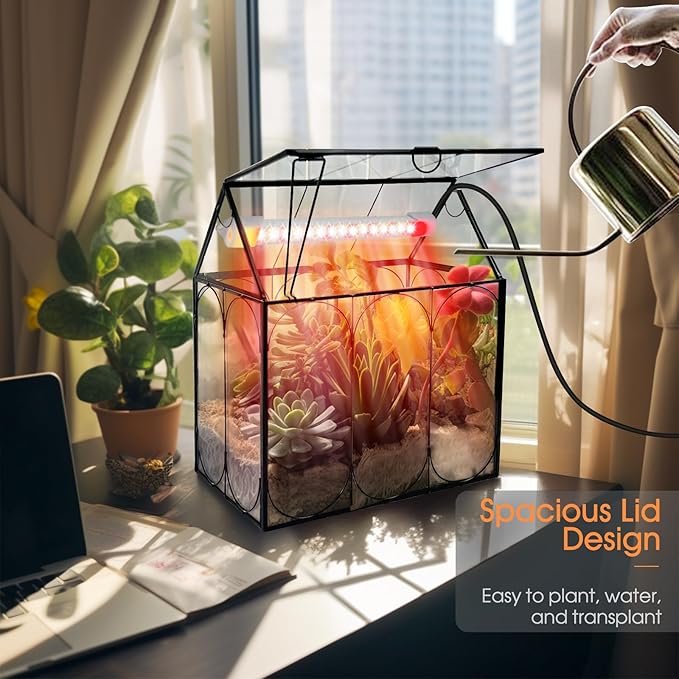 Plant Terrarium with Grow Light, Rifny Indoor House Shape Glass Terrarium Kit with Lid, Small Terrarium Jar Planter for Venus Fly Trap Succulent Live Air Plants Decor for Home Office (Without Plants)