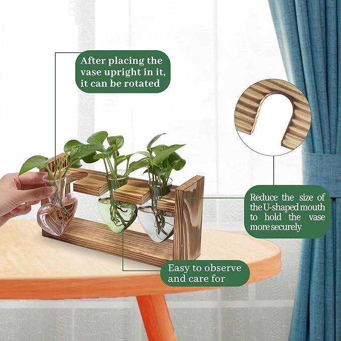 Plant Terrarium Propagation Stations Hydroponics Home Garden Decoration Gift for Women with Wooden Stand Heart Shaped Colored Glass Vase