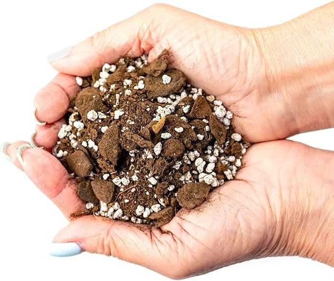 Premium Aloe Vera Potting Soil Mix - (2 Quart Bag)
