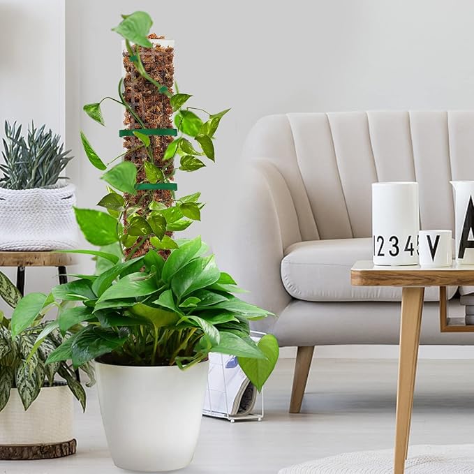 EOX 6 Pcs 24 Inch Plastic Moss Pole for Plants Monstera, Plant Poles for Climbing Plants, Plant Support for Indoor Plants Work with Sphagnum Moss, Garden Ties