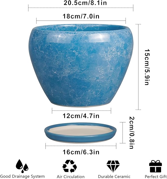 Ceramic Planter - 8 Inch Plant Pot with Drainage Hole and Saucer, Glaze Round Flower Pot for Home Garden Patio Office, Blue
