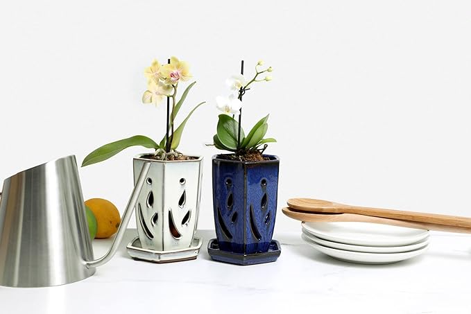 rePotme Orchid Pot, 4 x 6 inch Hexagon Ceramic Orchid Pot with Holes and Matching Saucer (Teal Jade)