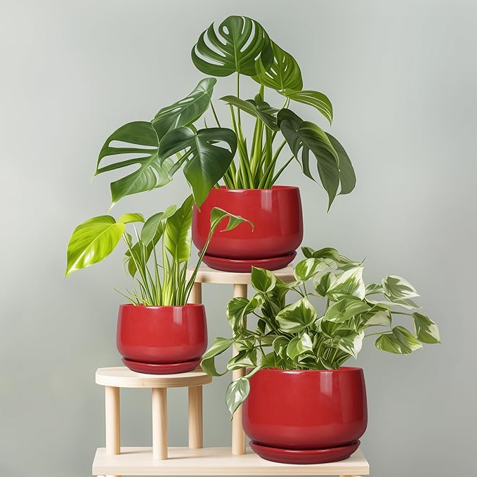 G EPGardening Ceramic Plant Pots - 9 Inch Flower pots for Indoor Outdoor Plant, Round Planter with Drainage and Saucer, Modern Home Decor, Gift for Women Men, Red