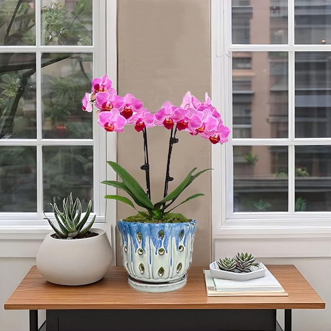 Ceramic Orchid Pot with Drainage Hole 6'' Orchid Planter (Blue Cover White)