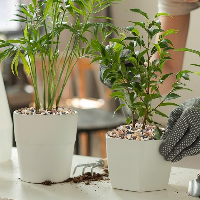 GASPRO 2.5 Pound Pebbles for Indoor Plants, 3/8 Inch Decorative Rocks for Vase, Succulents, Highly Polished, Mixed Color