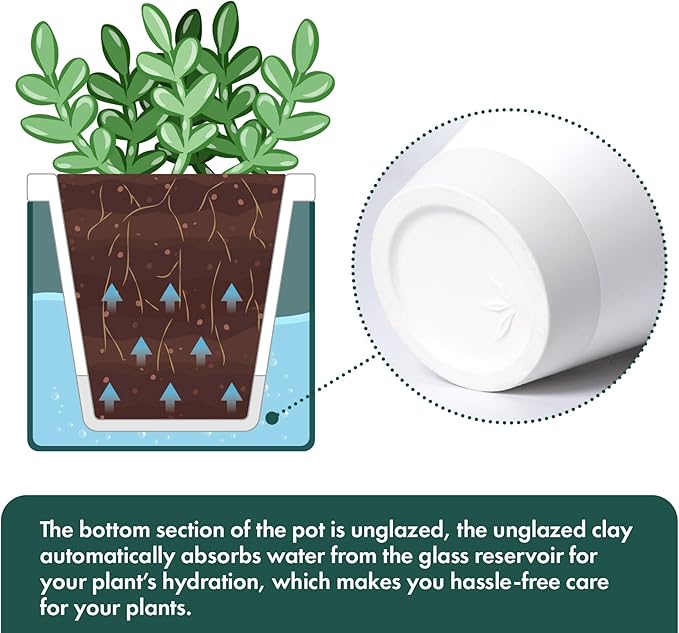 D'vine Dev 4 Inch Design Self Watering Planter for Indoor Plants, White Terracotta Pot with Teal Cylinder Glass Cup, Set of 3,37-Z-A-5-T