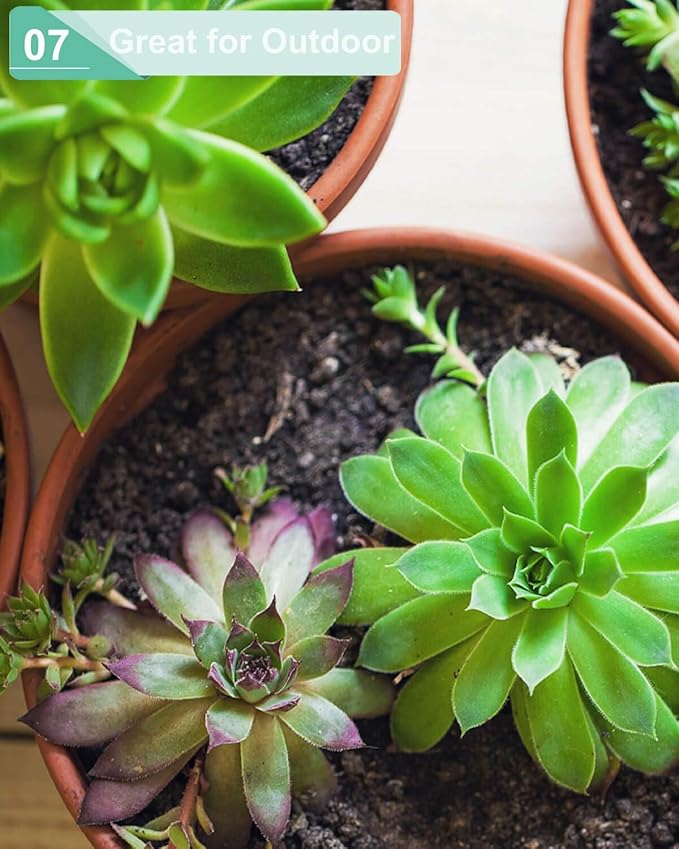 vensovo 5.7 Inch Pink Terracotta Shallow Succulent Pots - 6 Pack Terra Cotta Clay Pot with Saucer, Cacuts Indoor and Outdoor Planters with Drainage Hole