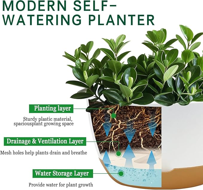 8 Inch Pots for Indoor Plants, Self Watering Planters with Drainage and Saucers, Plastic Outdoor Flower Pot, Set of 2, White