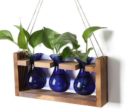Plant Propagation Station Plant Terrarium Unique Birthday Gifts for Women Plant Lovers Home Office Decor Planter with Wooden Stand - 3 Bulb Glass Vase