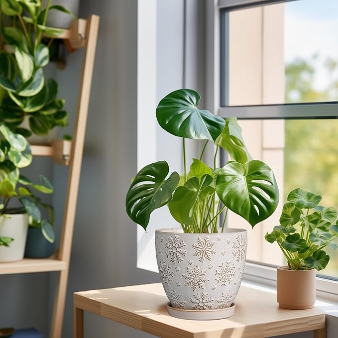 6.9 Inch Plant Pot with Drainage Hole and Saucer Ceramic Planter for Indoor Plant Flower Pot for Orchid Succulents Plants White