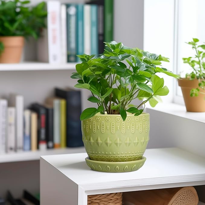 G EPGardening Ceramic Planter 5.5 Inch - Boho Plant Pot Indoor with Drainage Hole and Saucer, Round Flower Succulent Pot for Plants, Plant Lovers Gifts, Garden Office House Decor, Green