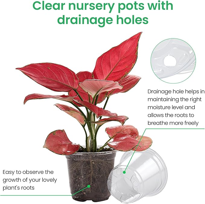 30 Packs 6.7/5/4 Inch Reinforced Clear Nursery Pots with Drainage Hole, Transparent Variety Pack Plastic Plant Pot Seedling Planter Seed Starter Flower