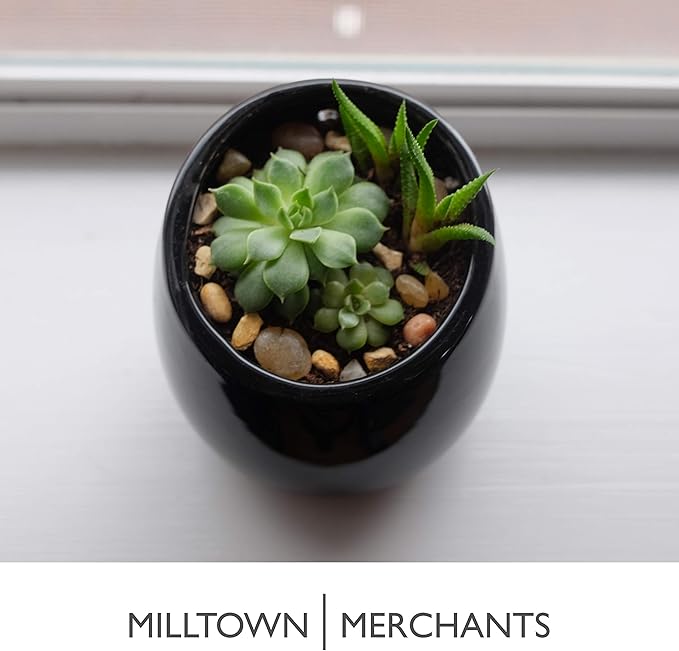 Milltown Merchants Succulent Wall Planter - Black Ceramic Mounted Vase - Plant Pot for Living Wall (1 Pack/Modern/Black)