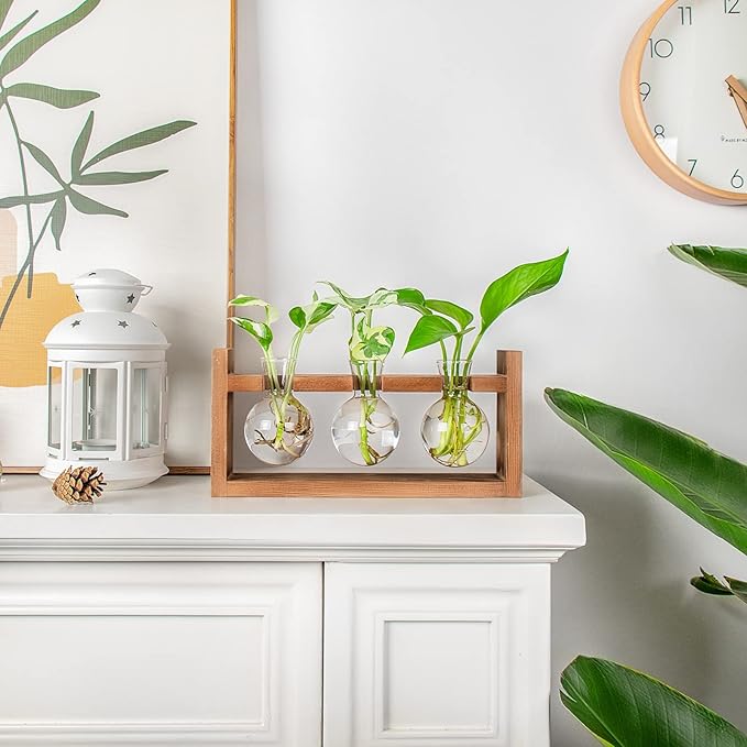 Plant Propagation Station,Plant Terrarium,Plant Starter,Gifts for Plant Lovers,Glass Bulb Terrarium with Retro Solid Wooden Stand for Hydroponics Plants Home Garden Wedding Décor (3 Bulbs)