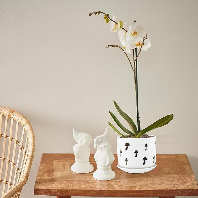 KERUITA Orchid Pots with Holes,5 inch + 6 inch Ceramic Planters Set of 2 with 2 Tray,White Flower Pot with Dancing Mushroom Shaped Vent, Enhanced Drainage and Ventilation