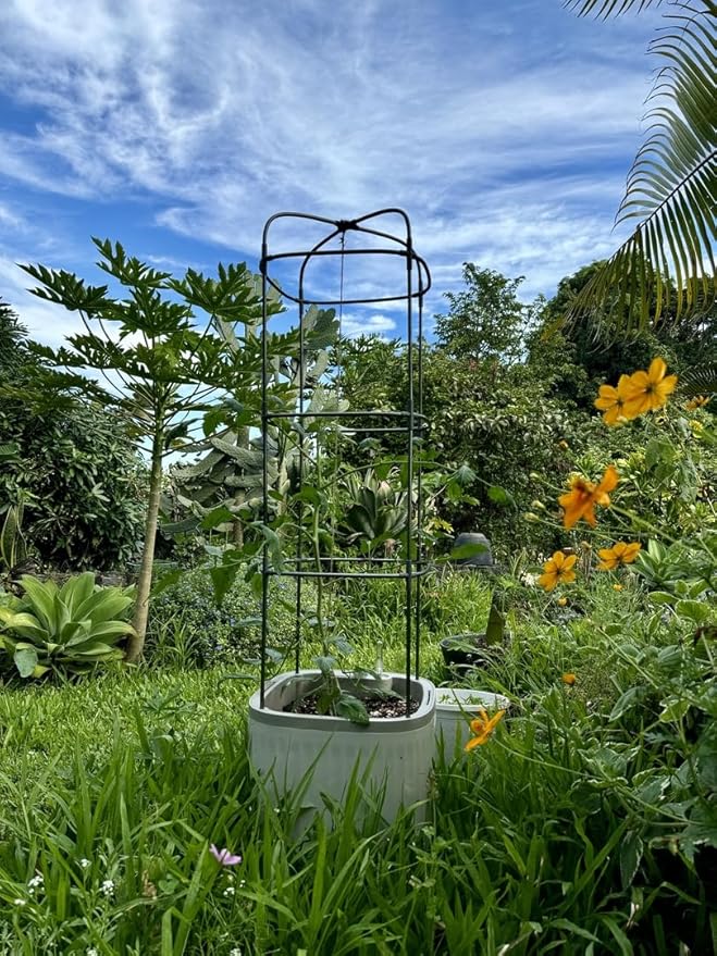 Vego garden Tomato Planter Box with Trellis Self-Watering Rolling Raised Garden Bed for Climbing Vegetables Plants Cage - Sage Green