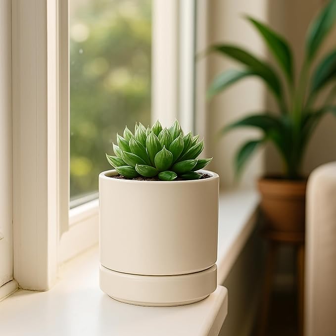 D'vine Dev Set of 2 Plants Pots, 4.7 Inch Ceramic Planter Pot for Plants with Drainage Hole and Saucer, Oatmeal, 94-V-B-8