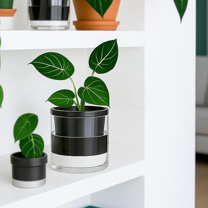 D'vine Dev 6 Inch Design Self Watering Planter for Indoor Plants, Black Terracotta Pot with Cylinder Glass Cup, Set of 2, 37-Y-B-3