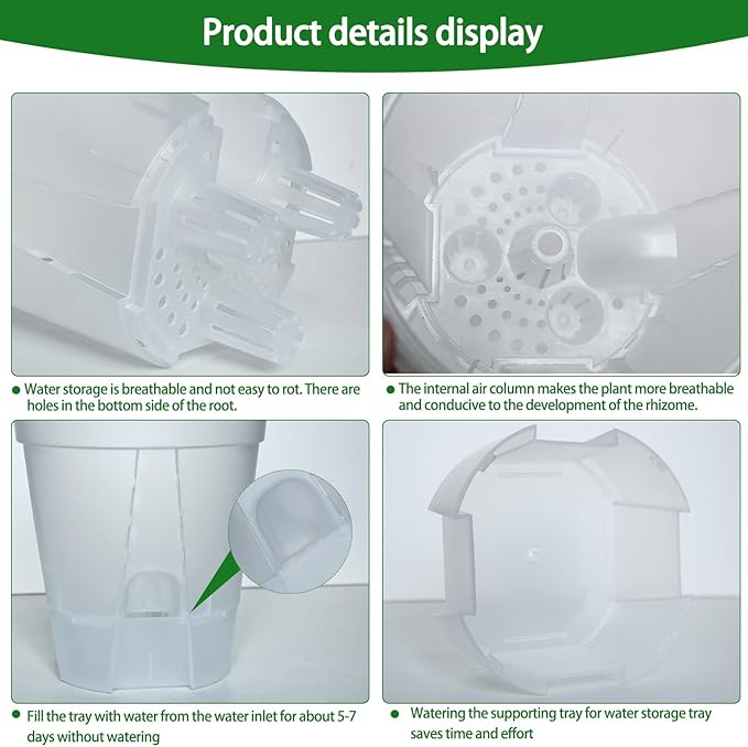 Cdd's Path 6-Pack Self Watering Pots Set with Holes for Indoor/Outdoor Plants,2 Each of 5, 6 and 7 Inch Planter Pot with Watering Hole/Reservior and Air Pipes,Clear